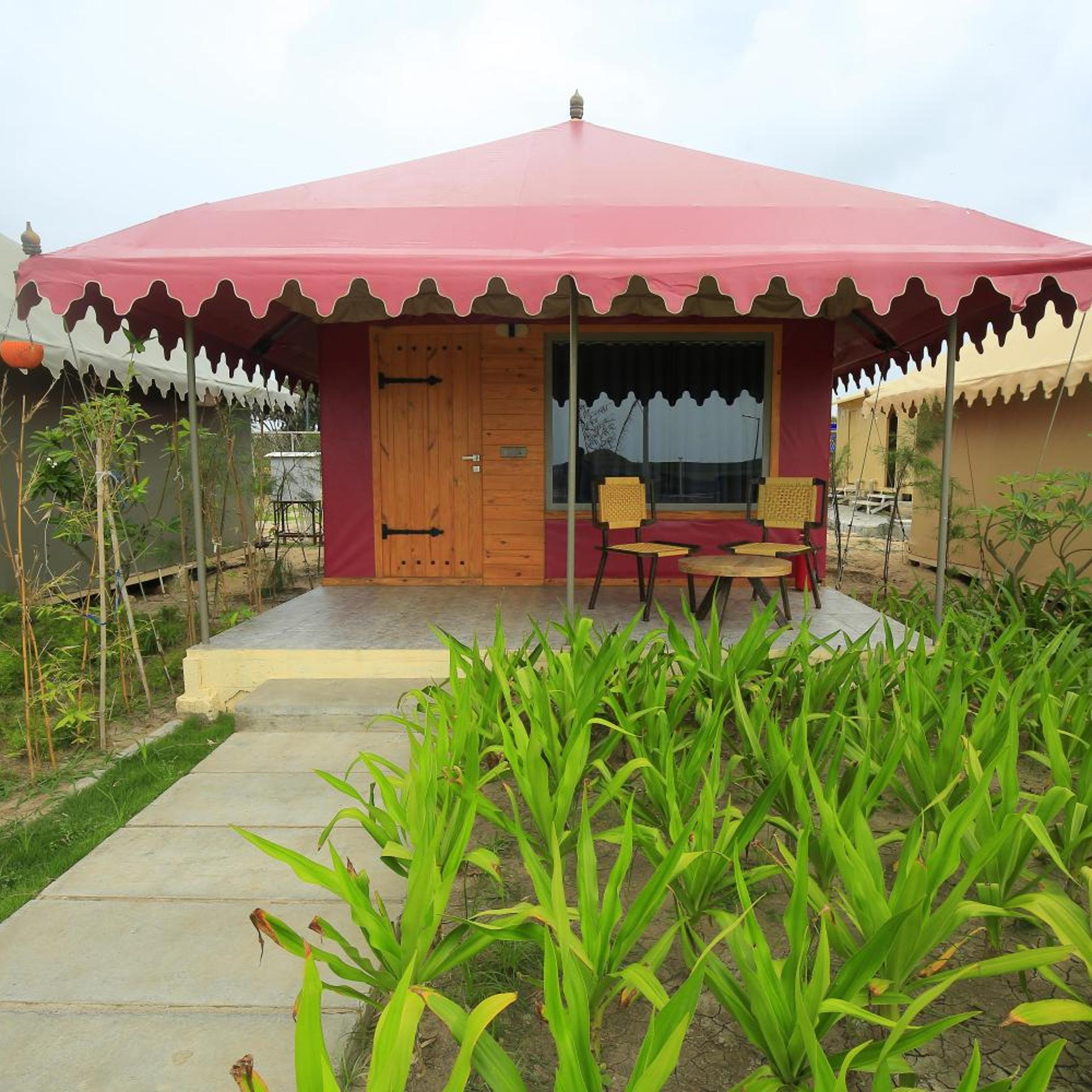 Kamnath Zinc Journey by The Fern 31/34