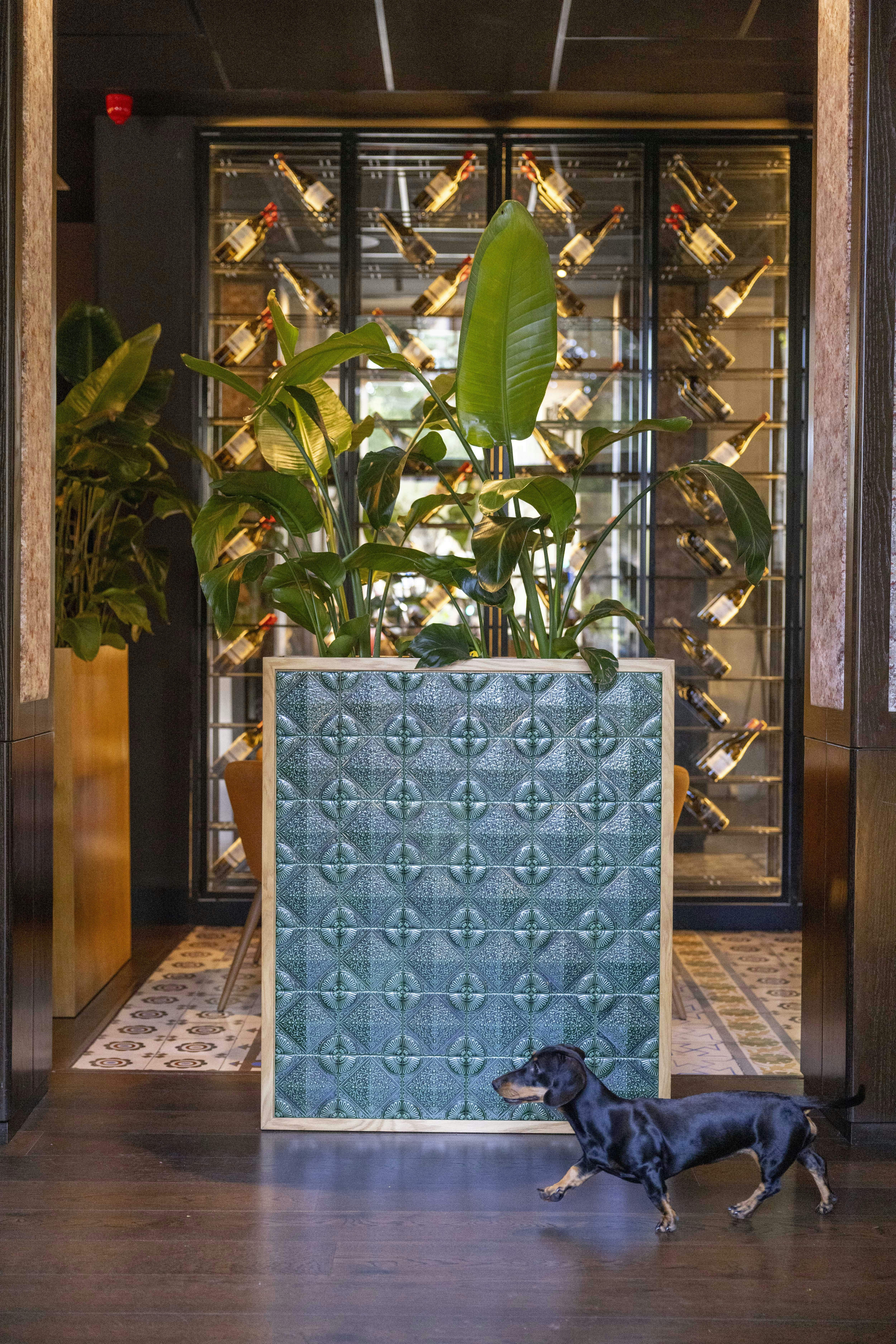 CAVALTA BOUTIQUE HOTEL GL 12/50