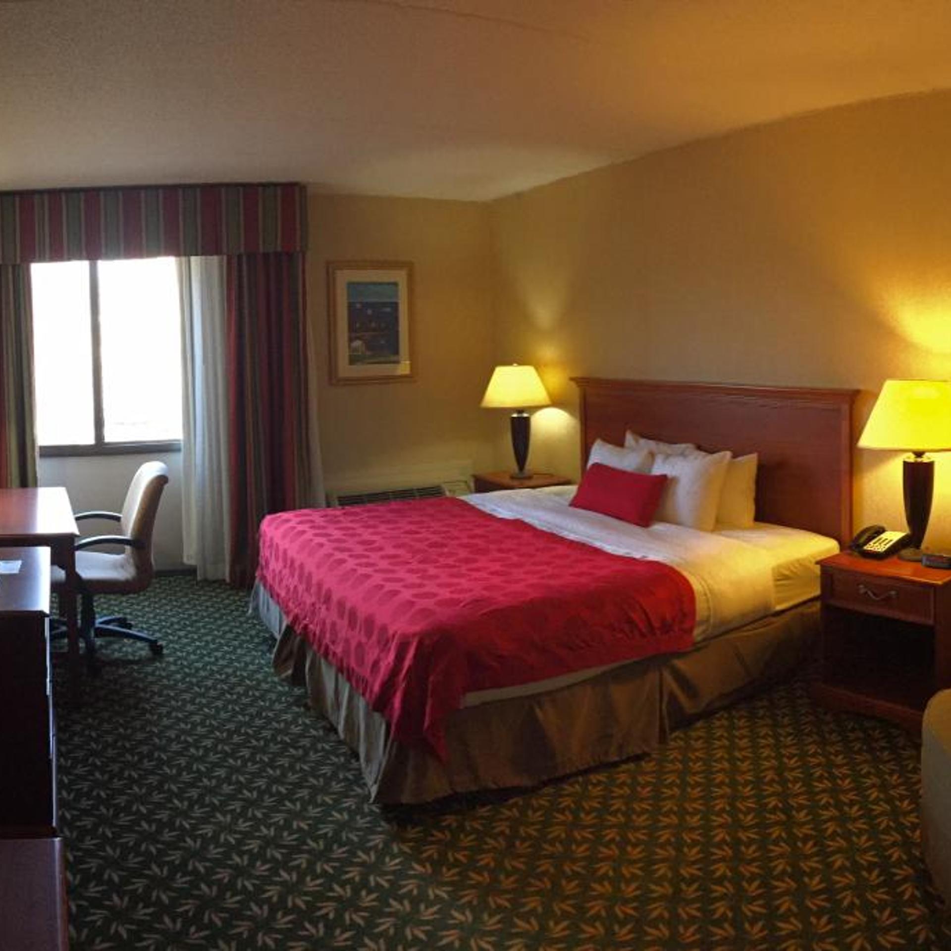 Suite, King Bed