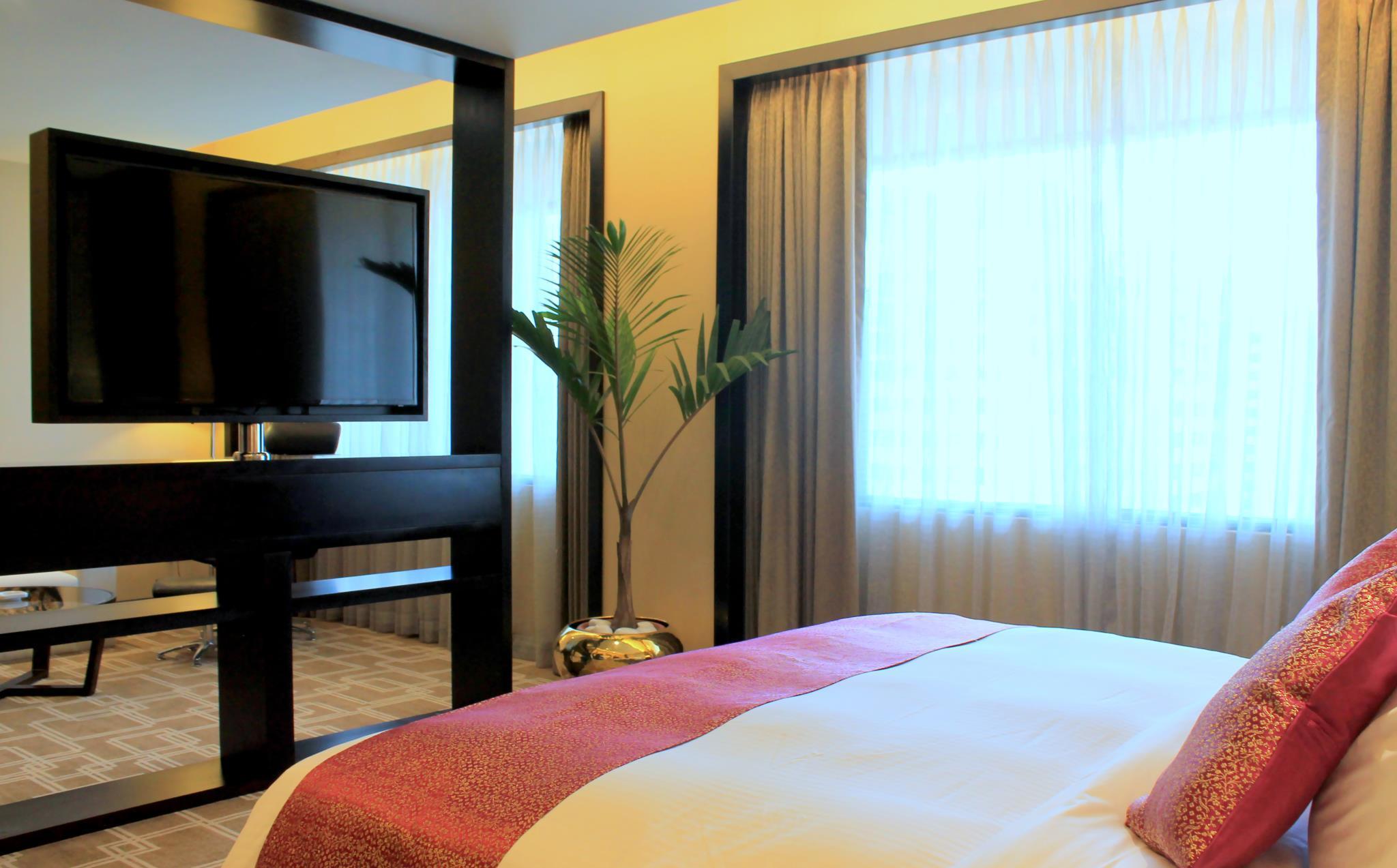 International, Suite