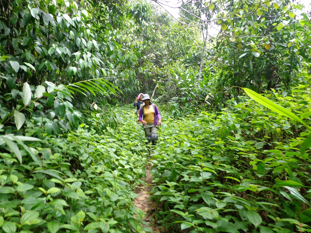 Mahoora Tented Safari Camp - Sinharaja 23/31