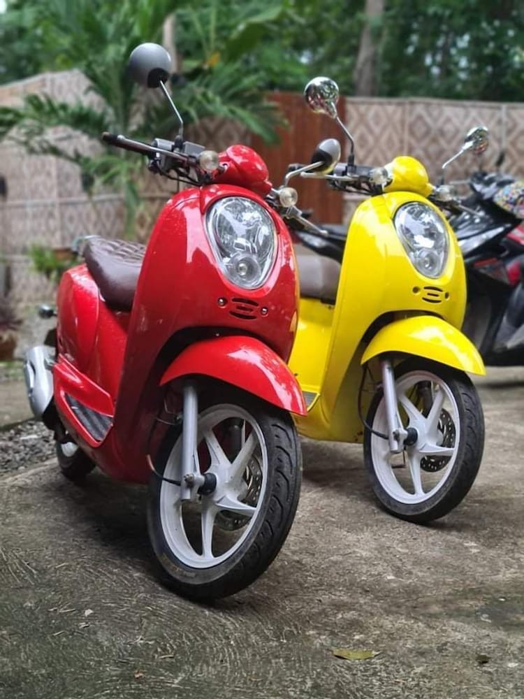 Alona Pawikan Resort 35/58