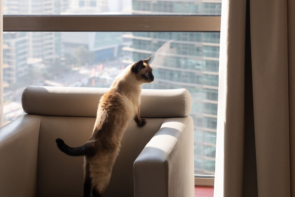 シェラトン ザ ウォーク ドバイ 写真4
