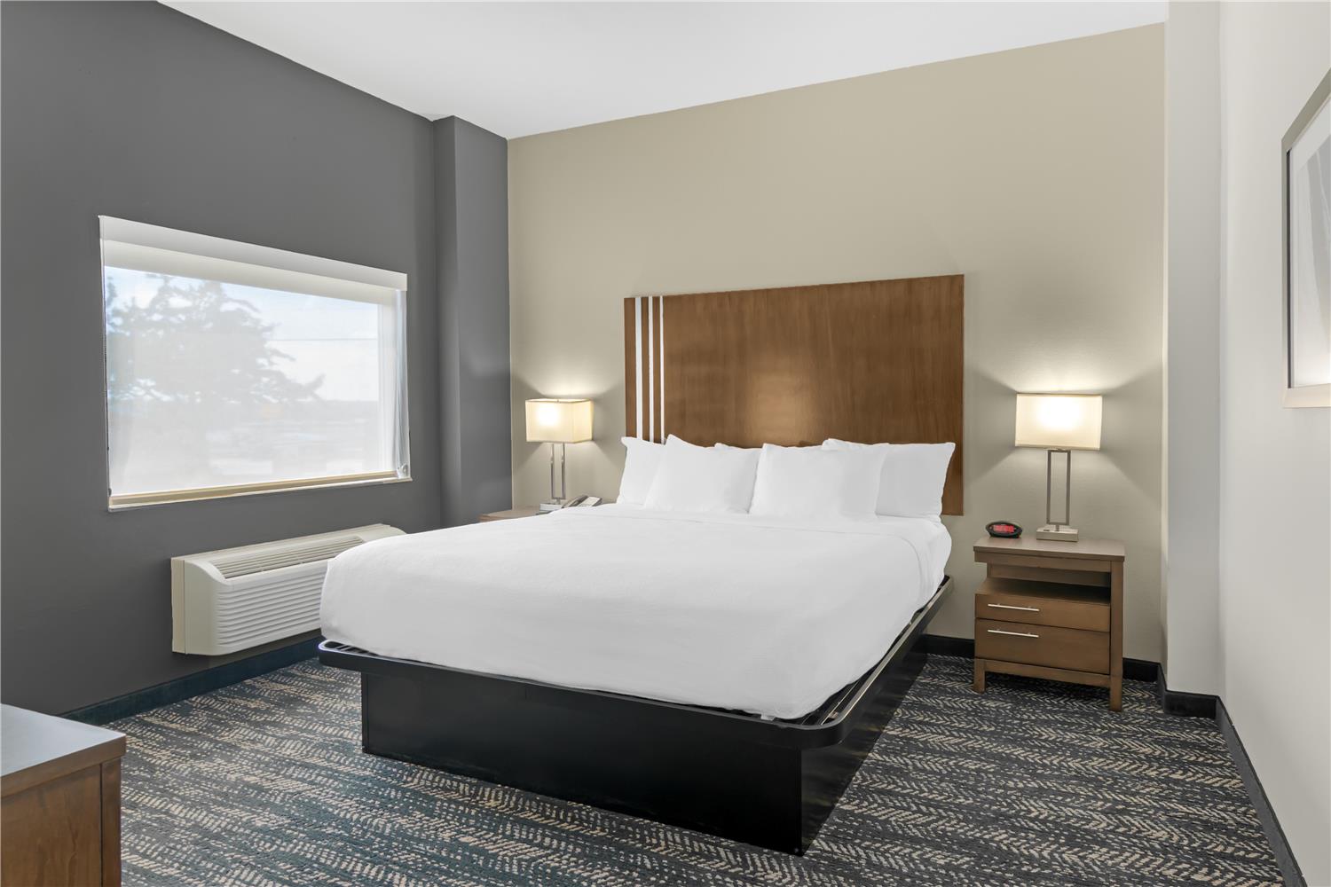 جناح بسرير كينج مع أريكة بمنطقة جلوس، Best Western Plus Washington Hotel 2/3