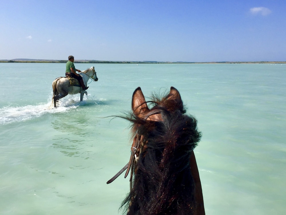 Horse Country Resort Congress & Spa 35/50