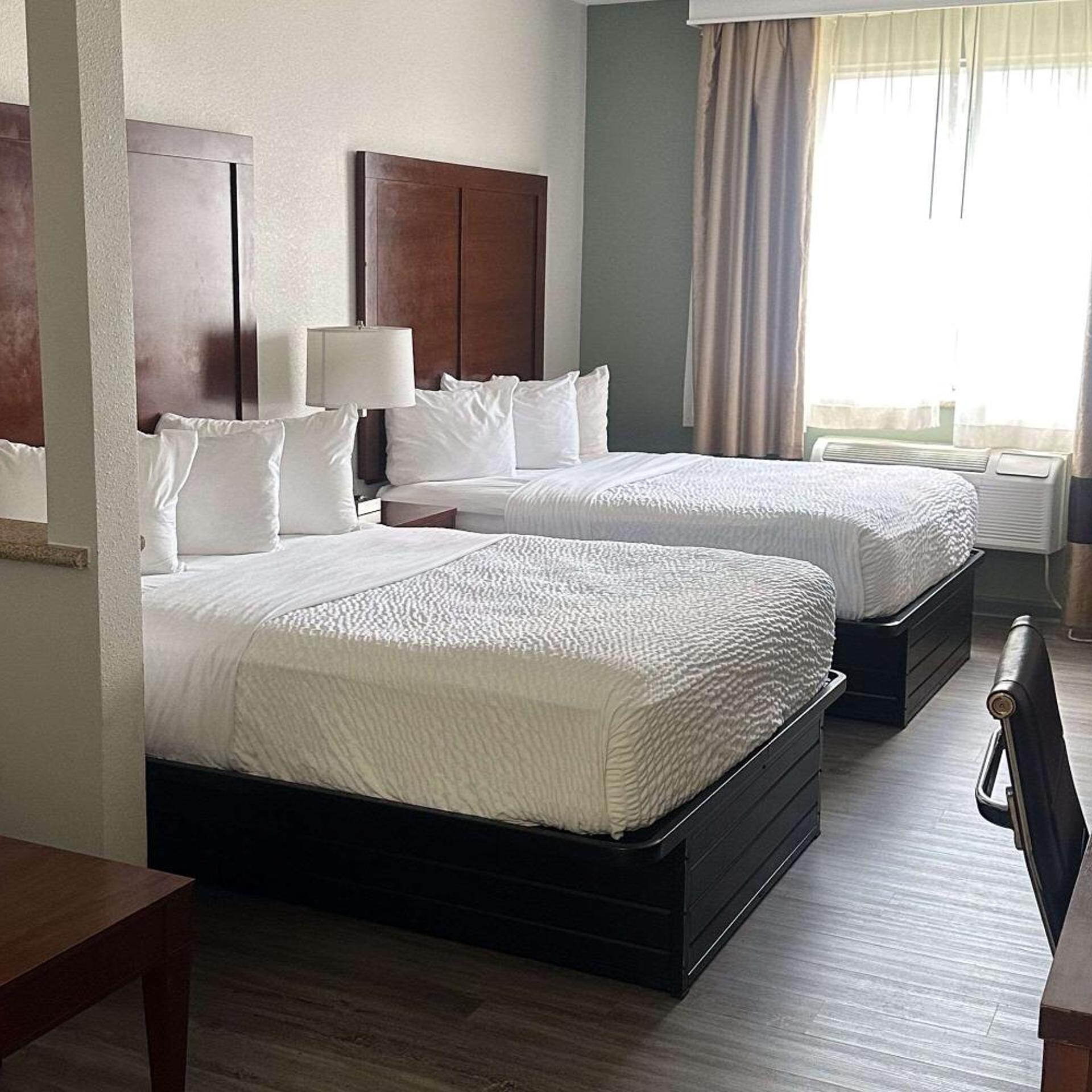 Suite, Queen Bed