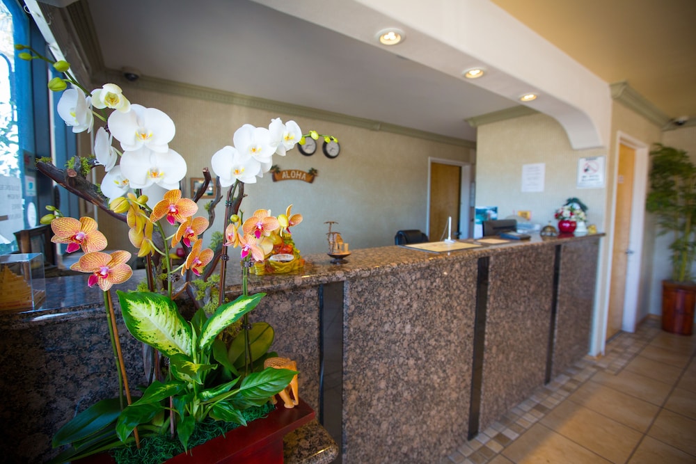 Aloha Inn 7/53