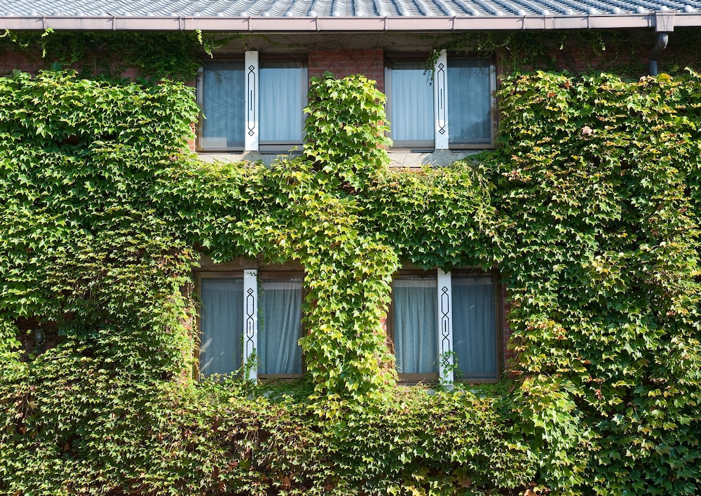 Kurashiki Ivy Square 45/49