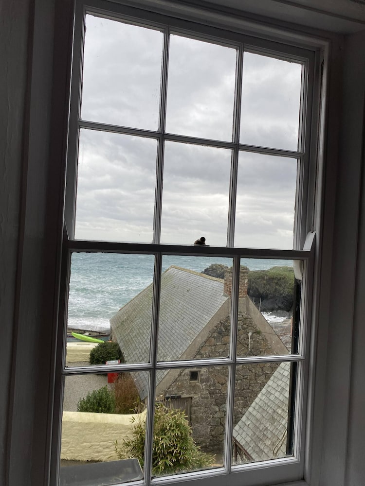 Cadgwith Cove Inn 26/50