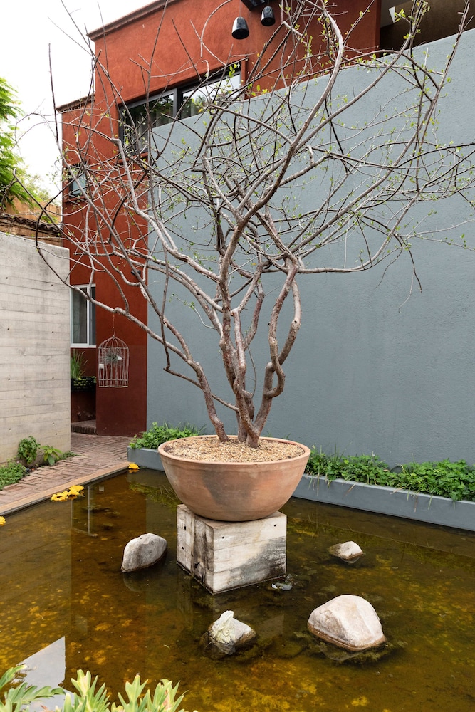 El Callejon Hotel Boutique 7/45