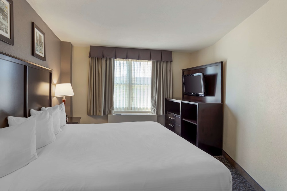 SUITE, KING BED