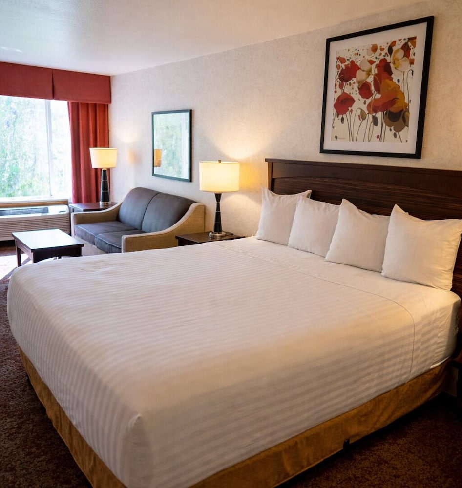 Crystal Inn Hotel & Suites Salt Lake City 17/65