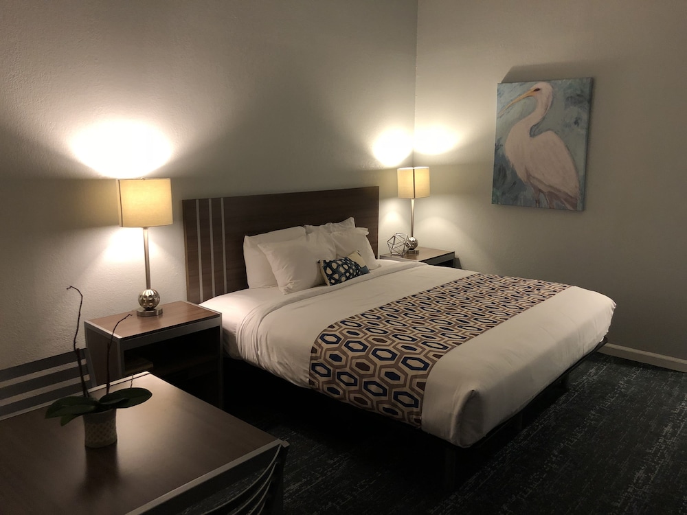 Sand Dollar Inn 19/60