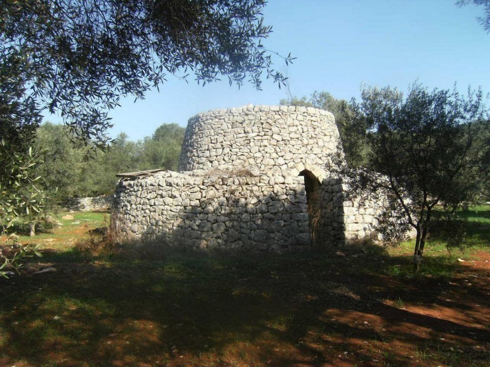 Corte Dei Nonni 2/19