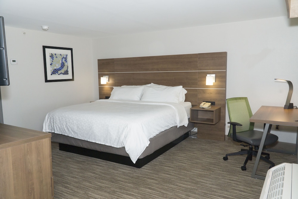 Holiday Inn Express Hotel & Suites Madison 14/60