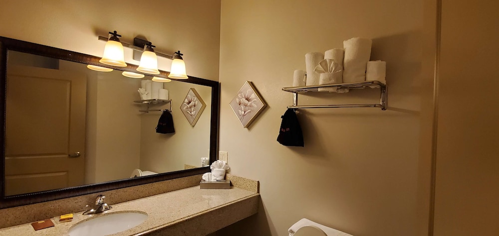 Best Western Plus Emory At Lake Fork Inn And Suites 17/42