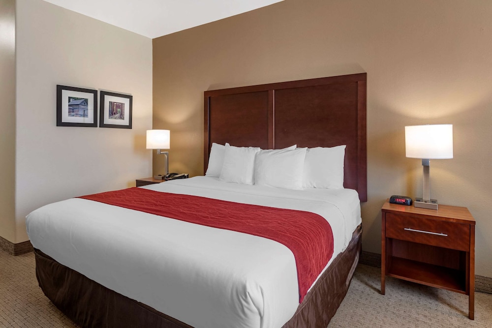Comfort Inn & Suites Villa Rica, GA 14/47