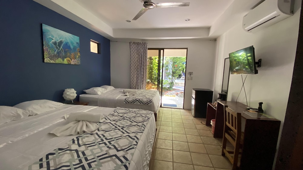 Hotel La Posada And Jungle 26/74