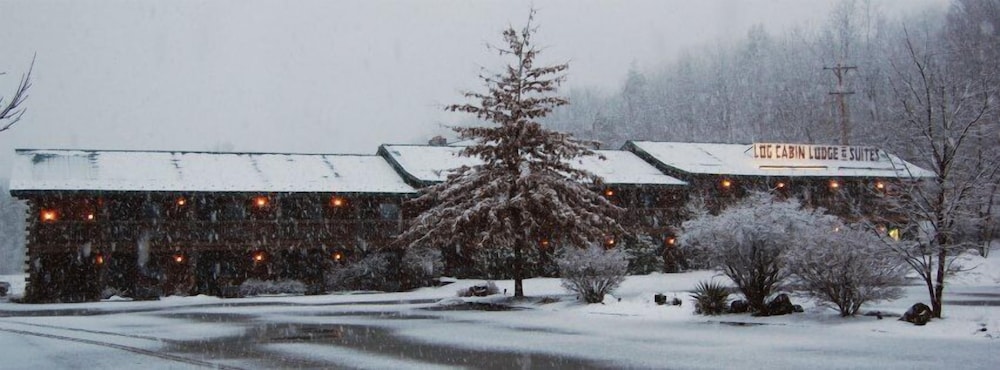 Log Cabin Lodge Suites 3/68