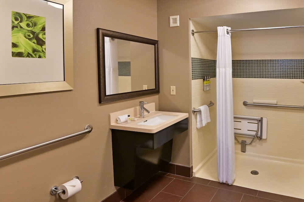 Sonesta Es Suites Sunnyvale 19/50