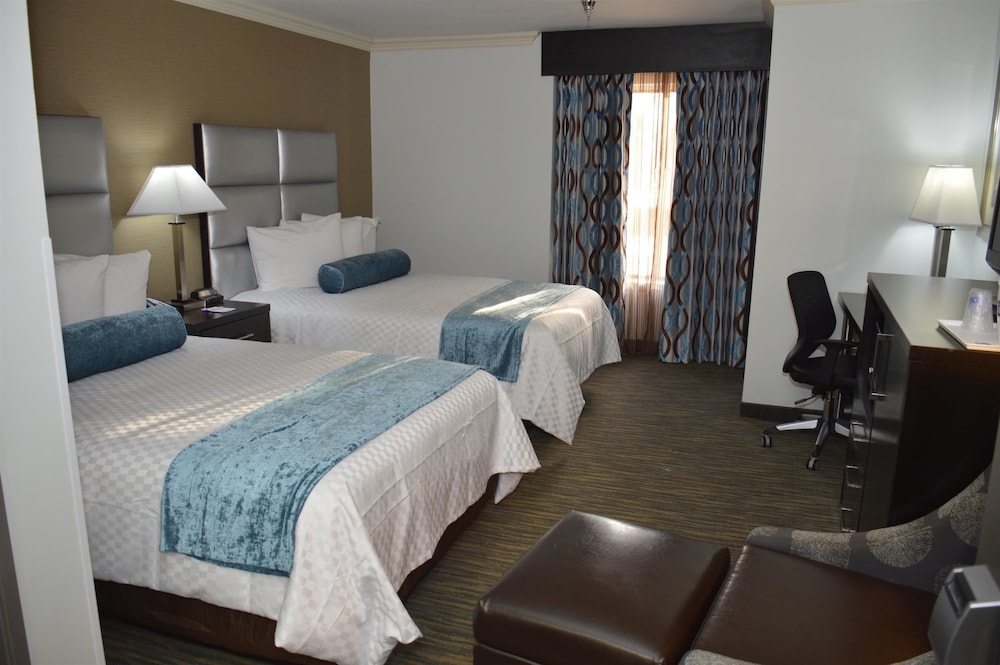 Best Western Webster Hotel, Nasa 19/50