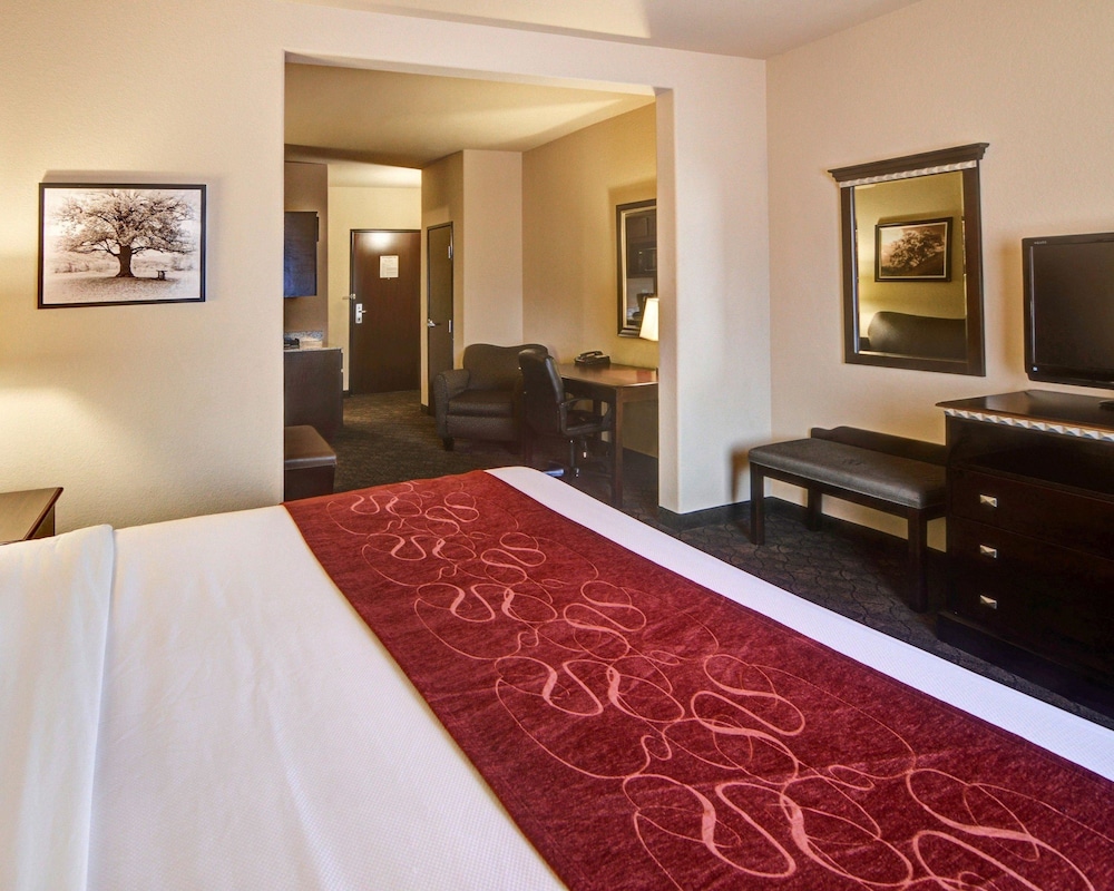 Comfort Suites Arlington - Entertainment District, TX 13/33