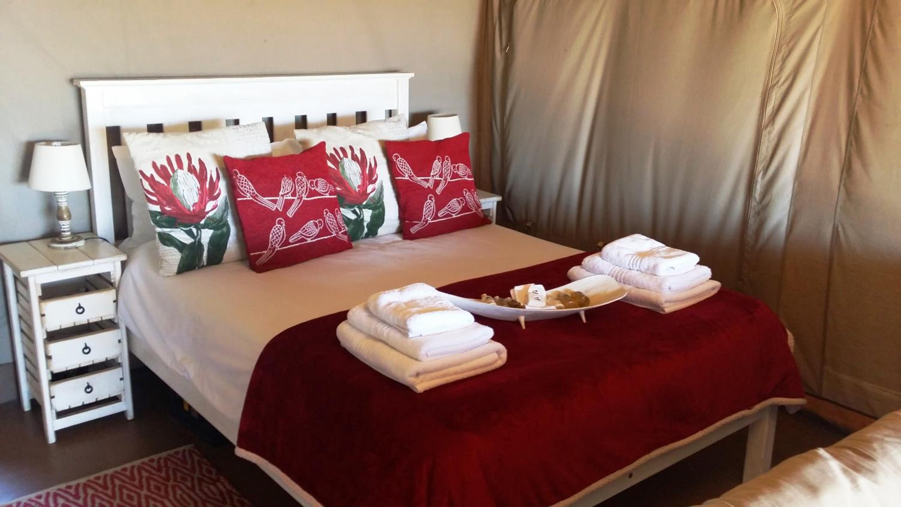 Thali Thali Game Lodge 6/50