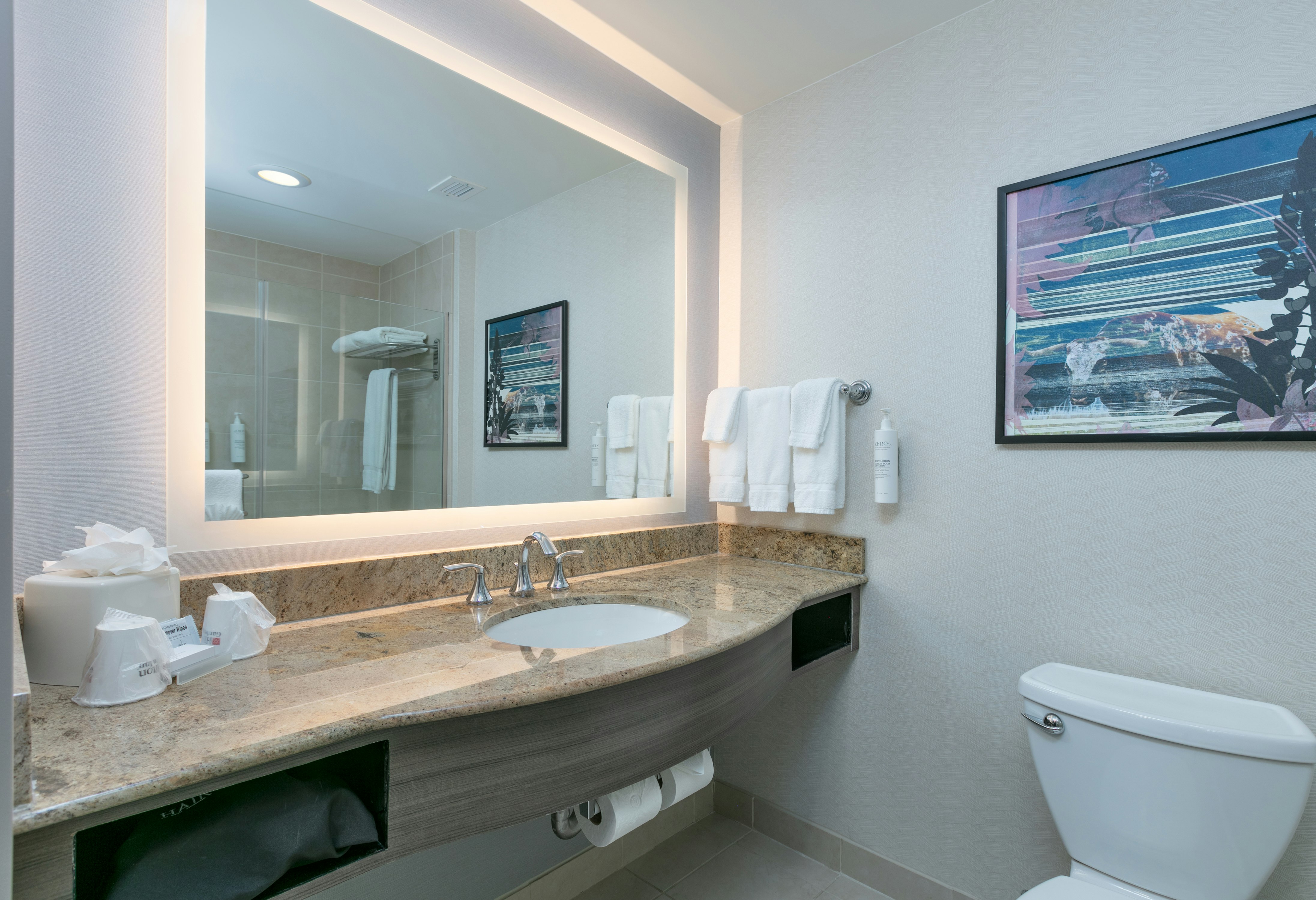 غرفة بسريرين كوين بإطلالة مع أريكة، Hilton Garden Inn Dallas/Arlington 5/6