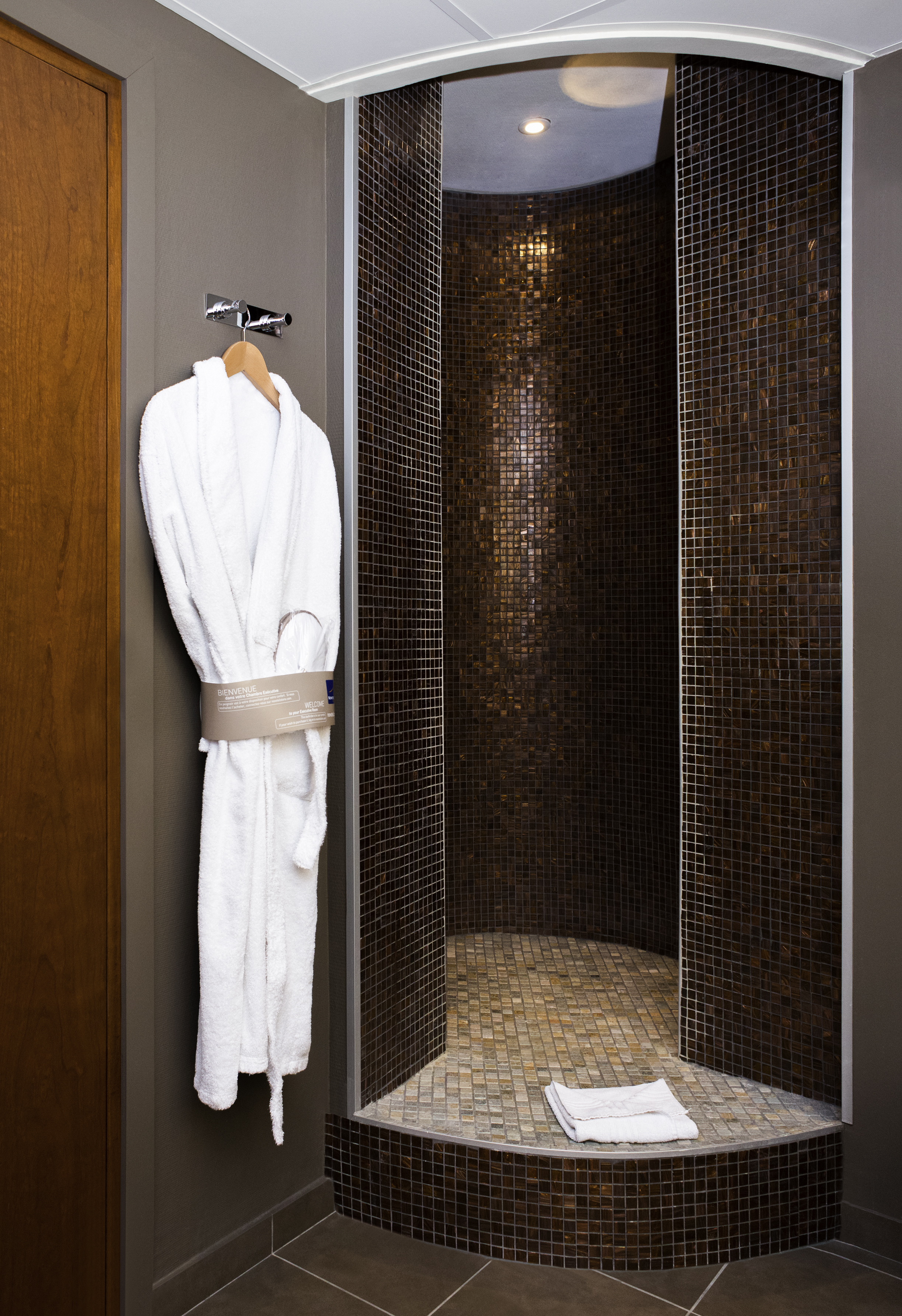 جناح بسرير مزدوج، NOVOTEL GRENOBLE CENTRE 4/4