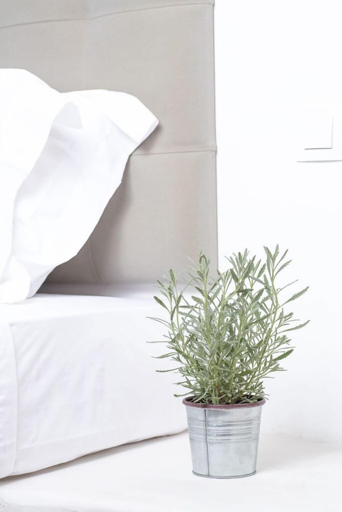 Anamar Kea Boutique Hotel - Adults Only 15/50