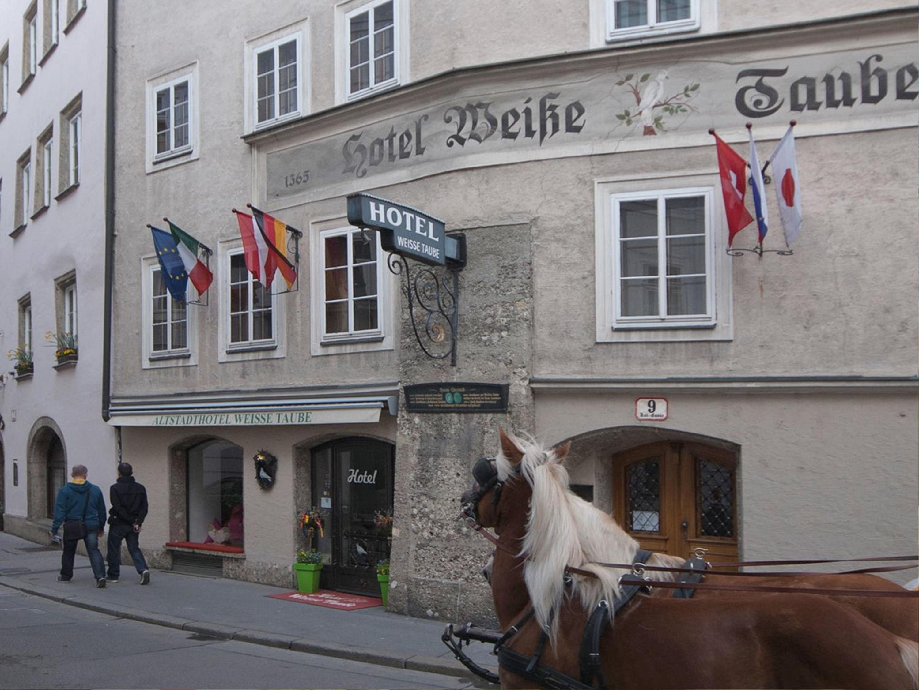 Altstadthotel Weisse Taube 63/64