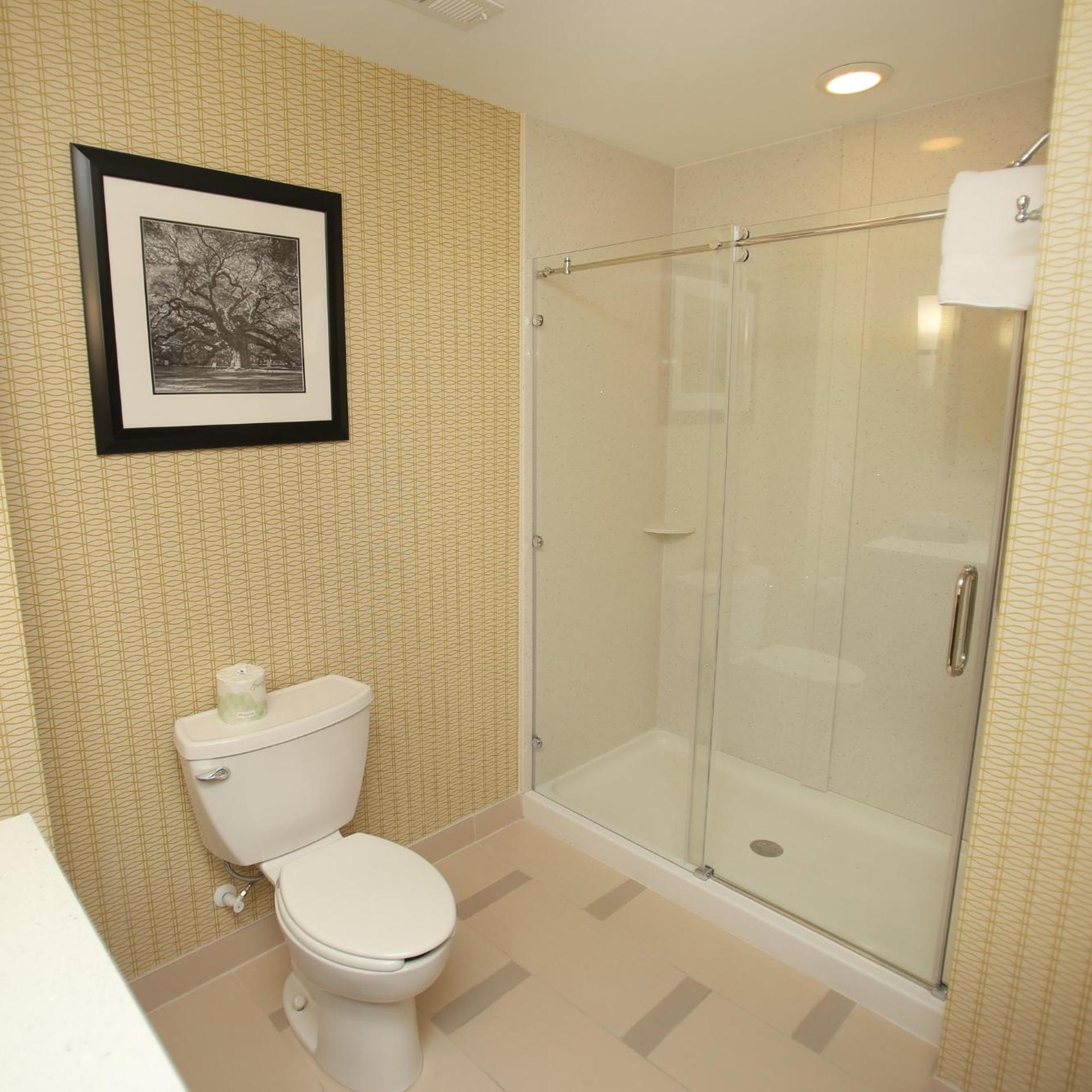 Xtra Space, Standard, King Bed، Holiday Inn Express Suites Southport Oak Island Area 4/6