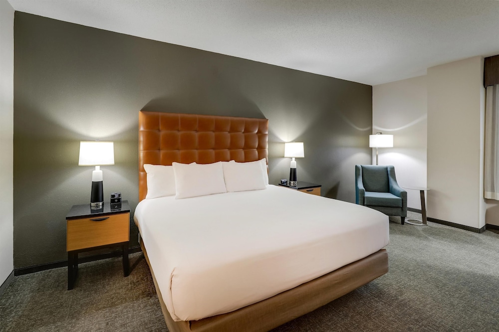 ROOM, KING BED, ACCESSIBLE