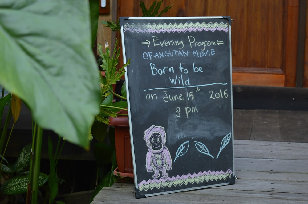 Rimba Orangutan Eco Lodge 16/43