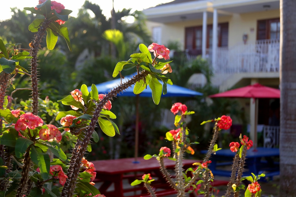 Negril Palms 52/55