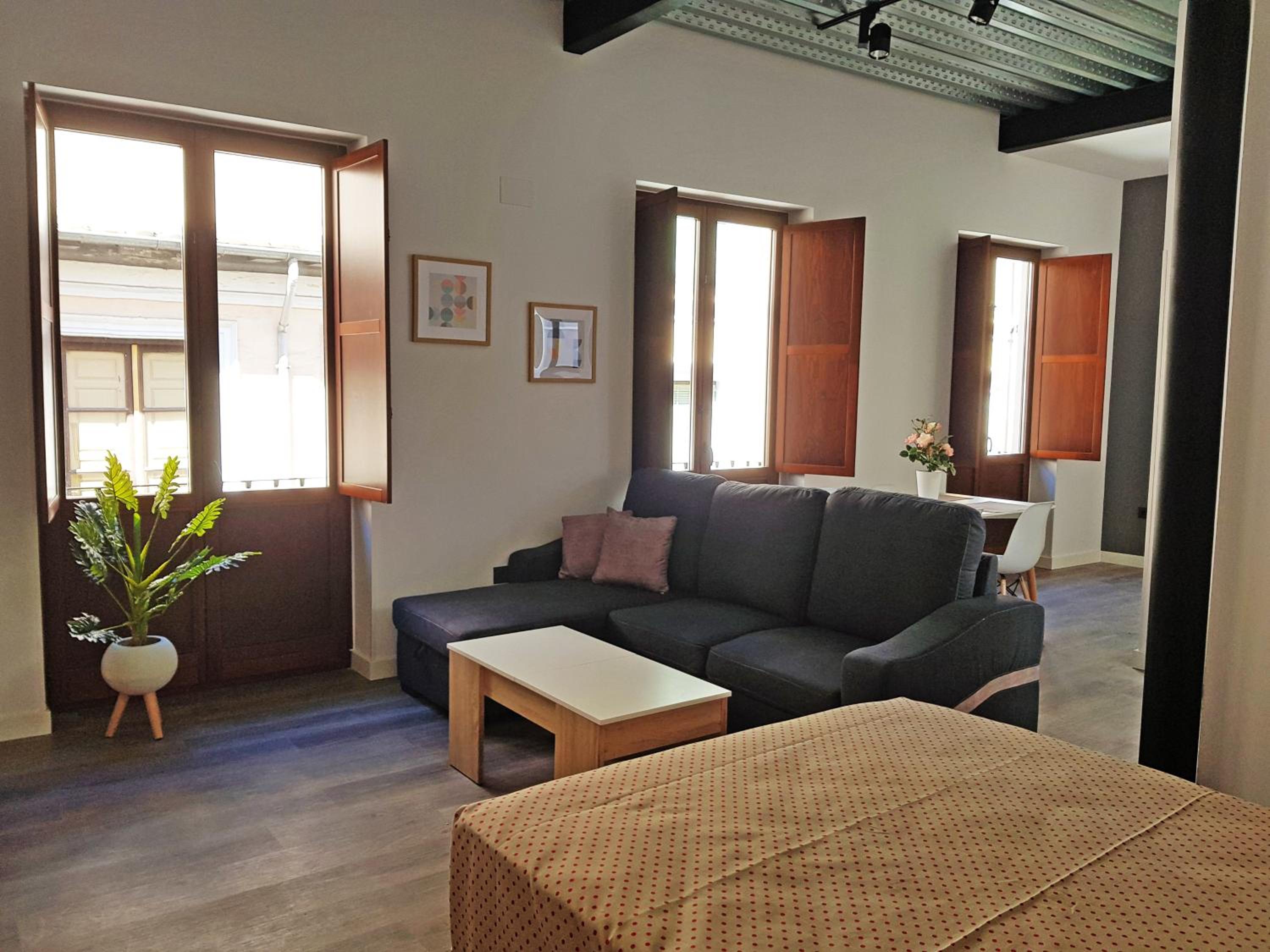 Apartamentos Granada Deluxe 3000 10/27