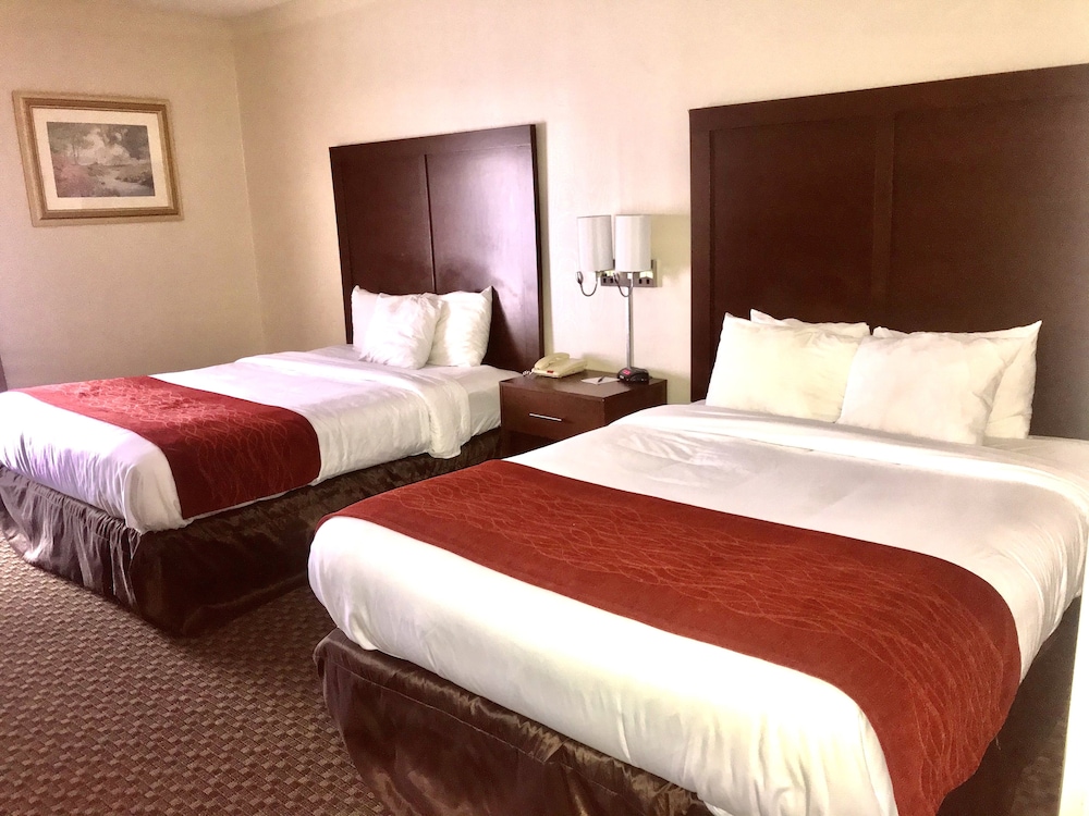 Comfort Inn & Suites Mount Pocono 15/50