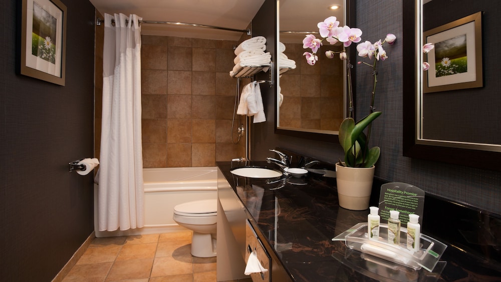 Holiday Inn And Suites Mississauga 13/39