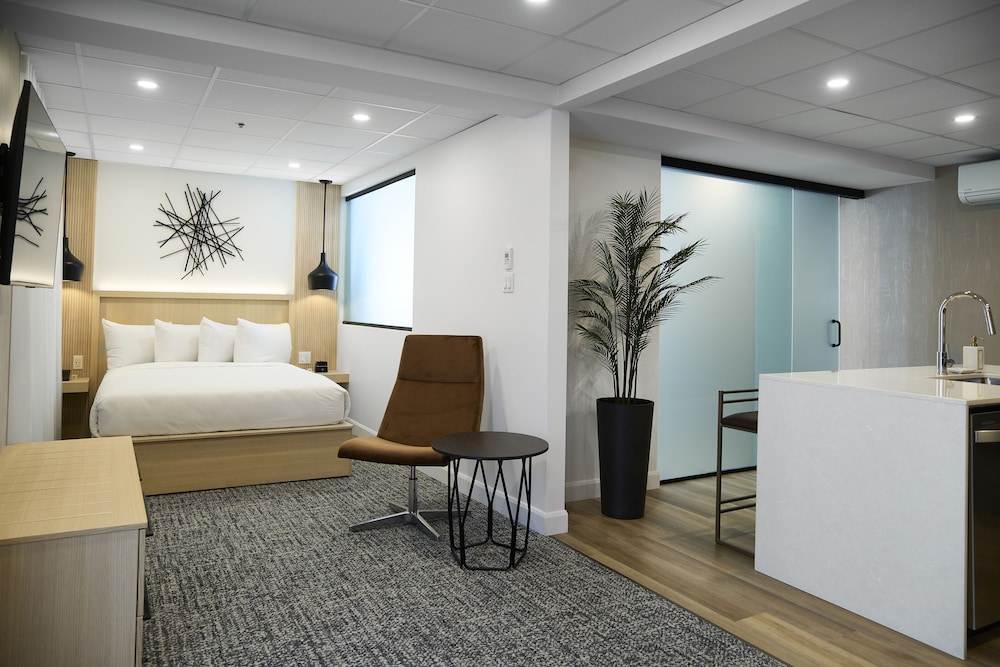 Hotel Cofortel 12/65