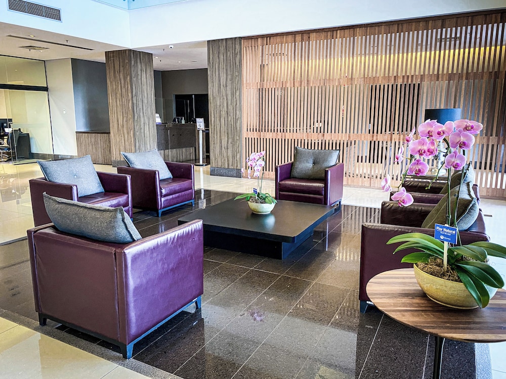 Hotel Rainha Do Brasil 43/72