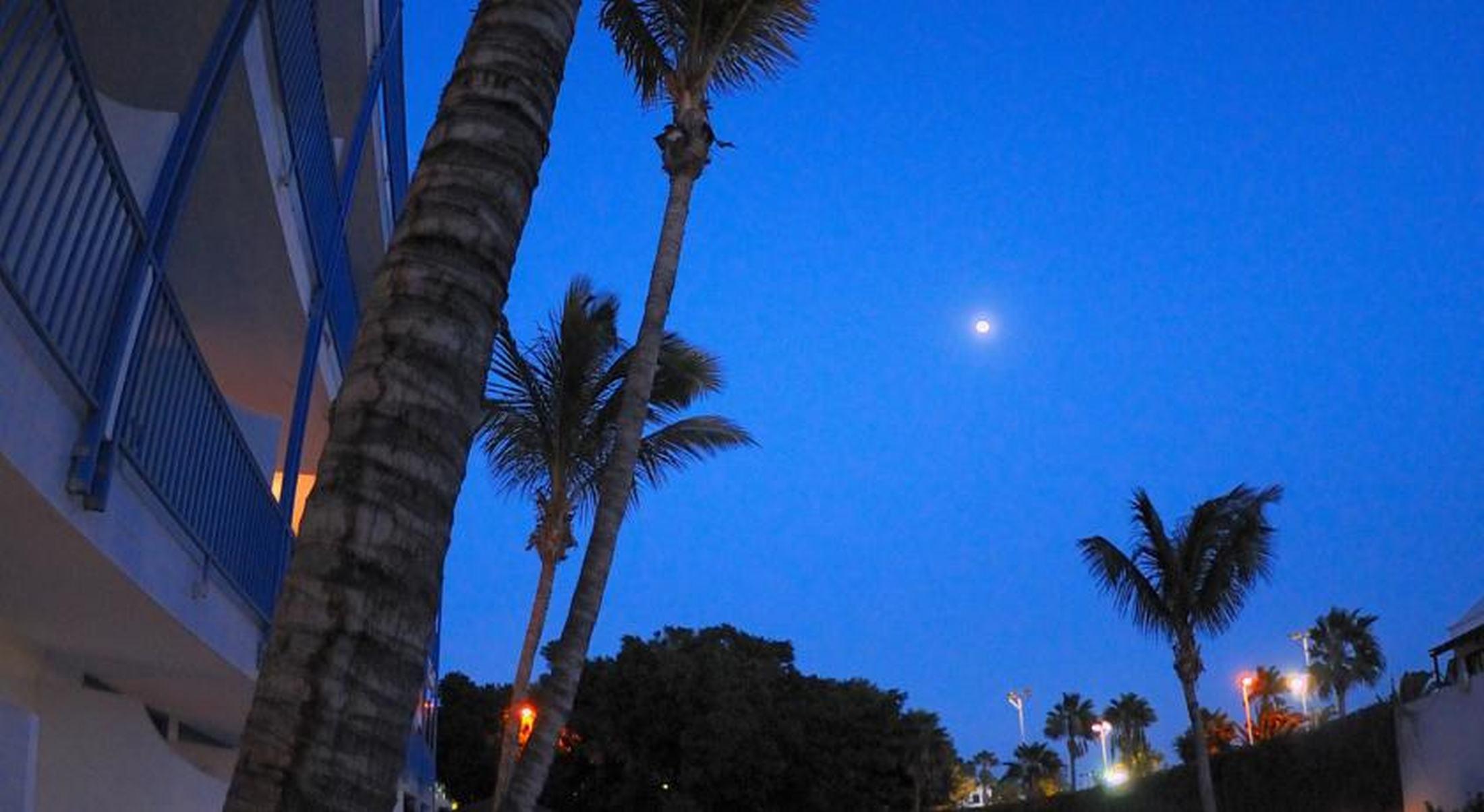 Costa Volcan Apartments 36/41