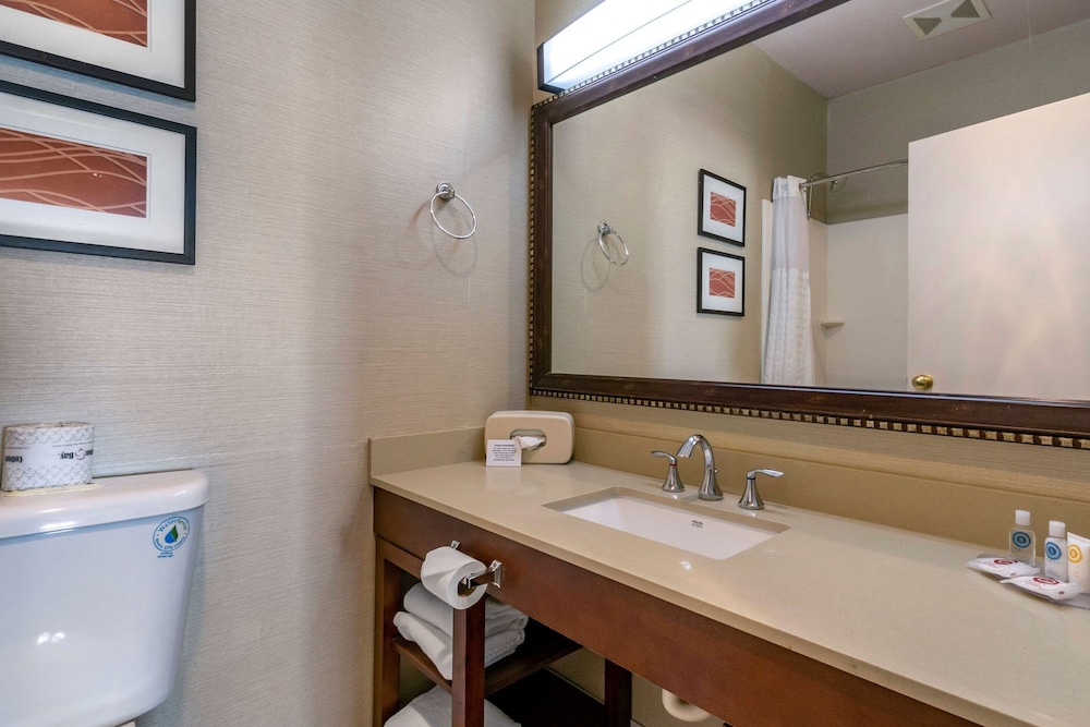 Comfort Inn & Suites Seattle North 7/33
