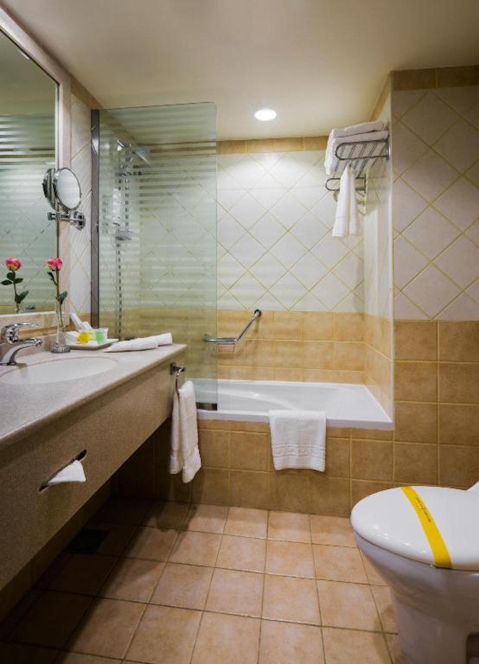 Mena Hotel Nasiriah Riyadh 43/44