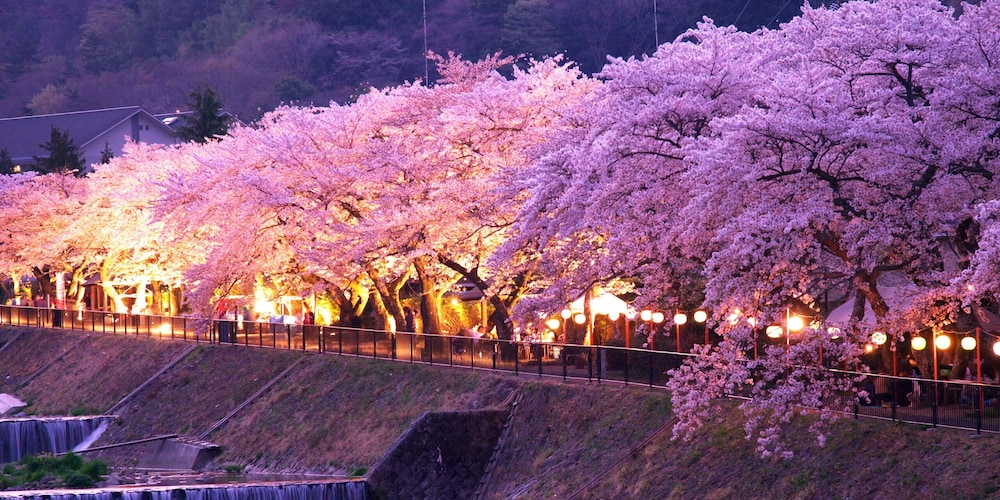 Hakone Onsen Yuyado Yamanoshou 45/48