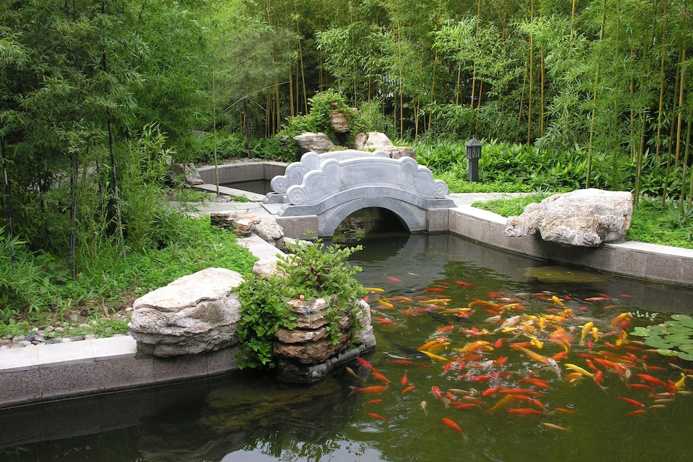 Beijing Asia Hotel 47/50