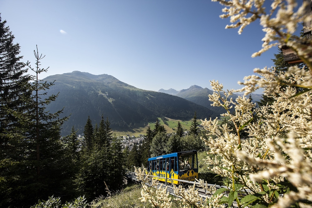 Schatzalp Snow &amp; Mountain Resort 42/71