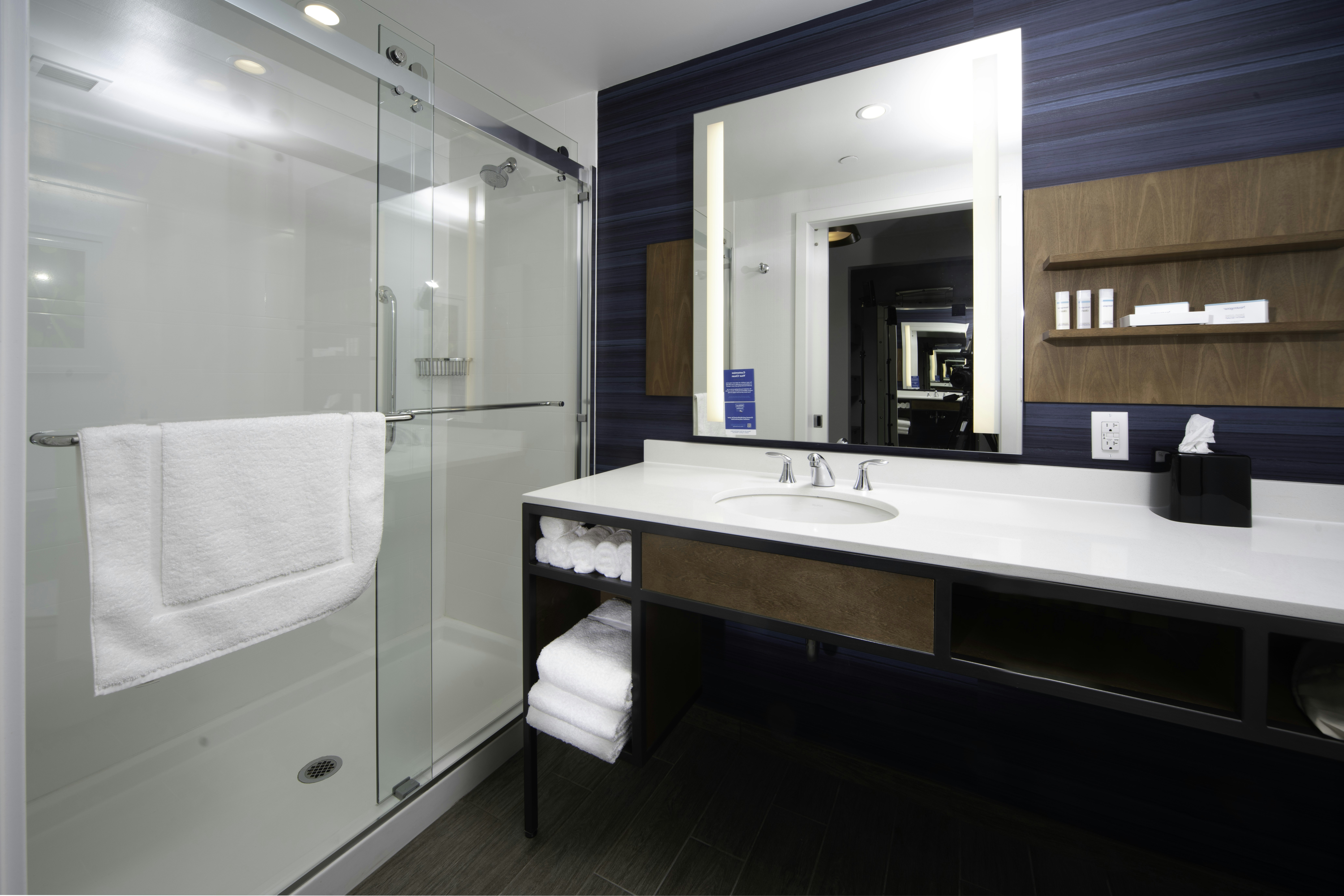غرفة ديلوكس بسرير كينج مع أريكة، Hilton Garden Inn Fremont CA 3/3