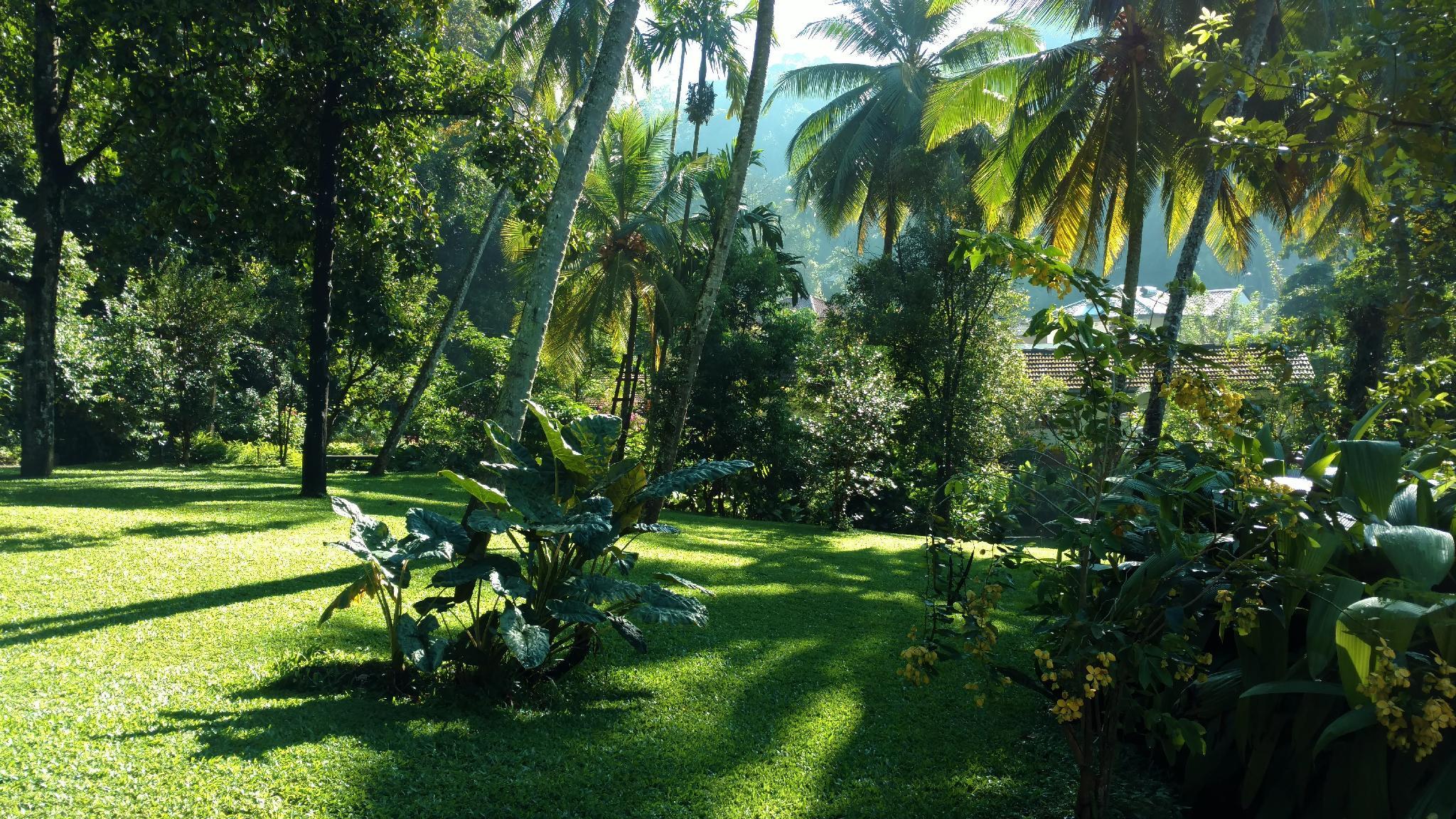Clove Garden Hotel 16/25
