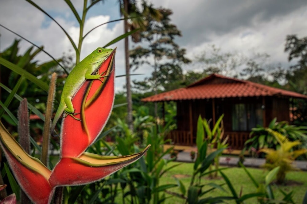 Hotel Rancho Cerro Azul 5/50
