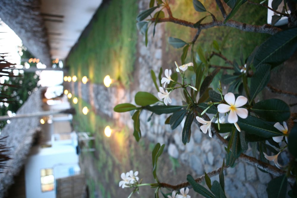 Elysia Beach Resort 29/42
